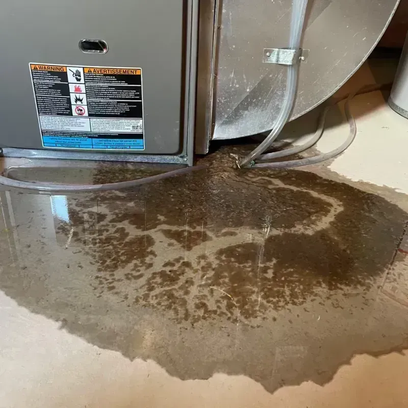 Appliance Leak Cleanup in Peotone, IL